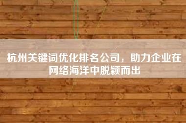 杭州关键词优化排名公司，助力企业在网络海洋中脱颖而出
