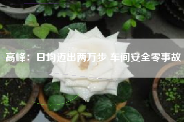 高峰：日均迈出两万步 车间安全零事故
