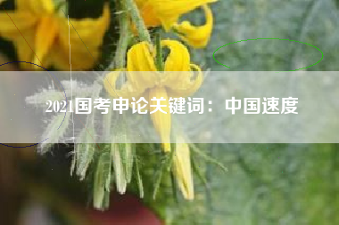 2021国考申论关键词：中国速度