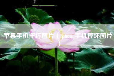 苹果手机摔坏图片（iphone手机摔坏图片）