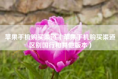 苹果手机购买渠道（苹果手机购买渠道区别国行和其他版本）