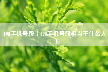 198手机号段（198手机号段相当于什么人）