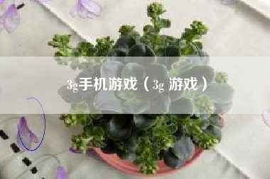 3g手机游戏（3g 游戏）