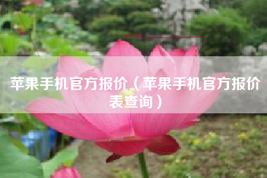 苹果手机官方报价（苹果手机官方报价表查询）