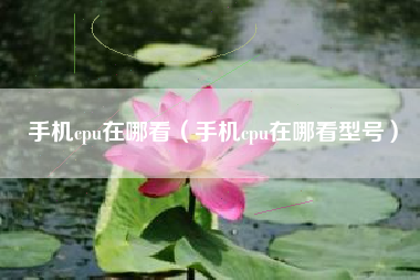 手机cpu在哪看（手机cpu在哪看型号）