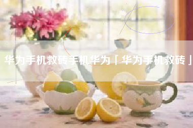 华为手机救砖手机华为「华为手机救砖」