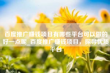 百度推广赚钱项目有哪些平台可以做的好一点呢_百度推广赚钱项目，探寻优质平台