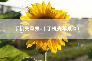 手机壳苹果4（手机壳苹果13）