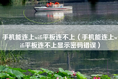 手机能连上wifi平板连不上（手机能连上wifi平板连不上显示密码错误）