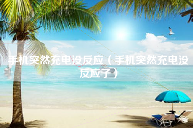 手机突然充电没反应（手机突然充电没反应了）