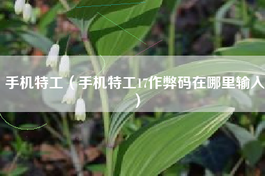 手机特工（手机特工17作弊码在哪里输入）