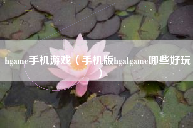 hgame手机游戏（手机版hgalgame哪些好玩）