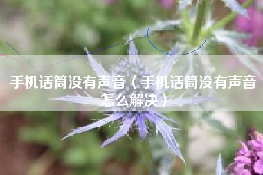 手机话筒没有声音（手机话筒没有声音怎么解决）