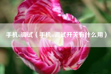 手机u调试（手机u调试开关有什么用）