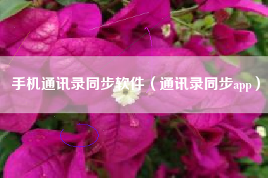 手机通讯录同步软件（通讯录同步app）