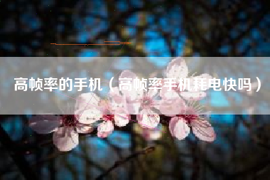 高帧率的手机（高帧率手机耗电快吗）
