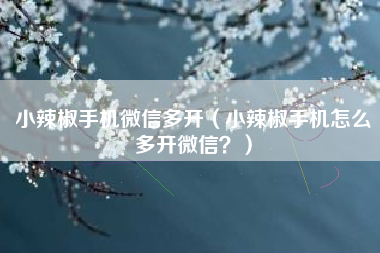 小辣椒手机微信多开（小辣椒手机怎么多开微信？）
