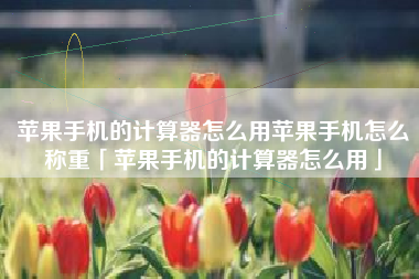 苹果手机的计算器怎么用苹果手机怎么称重「苹果手机的计算器怎么用」