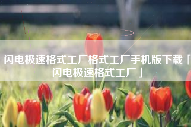 闪电极速格式工厂格式工厂手机版下载「闪电极速格式工厂」