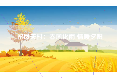 留凤关村：春风化雨 情暖夕阳