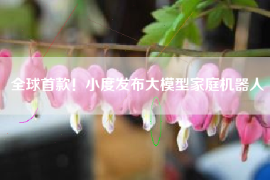 全球首款！小度发布大模型家庭机器人