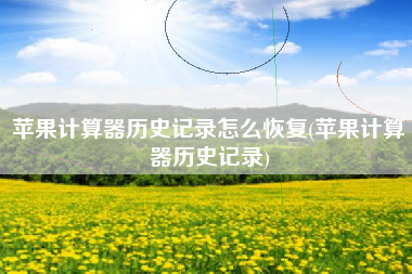 苹果计算器历史记录怎么恢复(苹果计算器历史记录)
