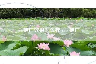 seo推广效果怎么样-seo 推广